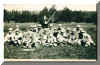 BusterBB1_elkcity.jpg (44045 bytes)
