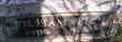Fick_William.jpg (67049 bytes)