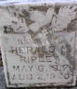 Ripley_Herald.jpg (87597 bytes)