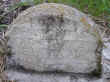 Toman_Mary.jpg (116515 bytes)