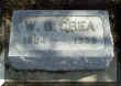 CreaWO.jpg (128278 bytes)