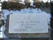 WALSER_Carl.jpg (74980 bytes)