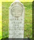 Meade_chas.jpg (207865 bytes)