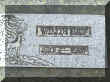 Ray_willie.jpg (281041 bytes)