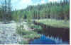 dredgeponds95.jpg (76416 bytes)