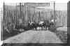 lolopass1920.jpg (153703 bytes)