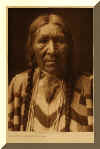 mrsyellowbullyoung.jpg (62146 bytes)