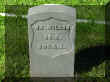 wilson2800gph.jpg (157561 bytes)