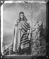 yellowbull1871.jpg (321735 bytes)