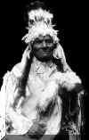 yellowbull.jpg (22854 bytes)